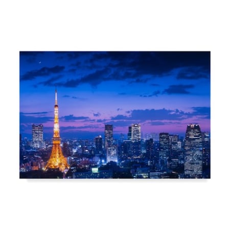 Takao Kataoka 'Tokyo Night View' Canvas Art,12x19